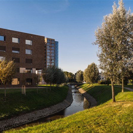 Ponávka