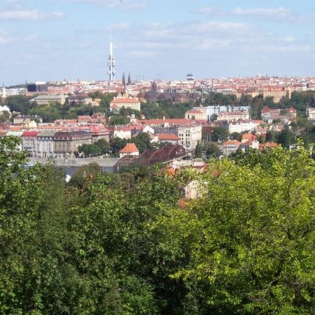 Radlická 61