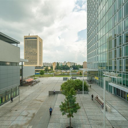 City Point | podnájem