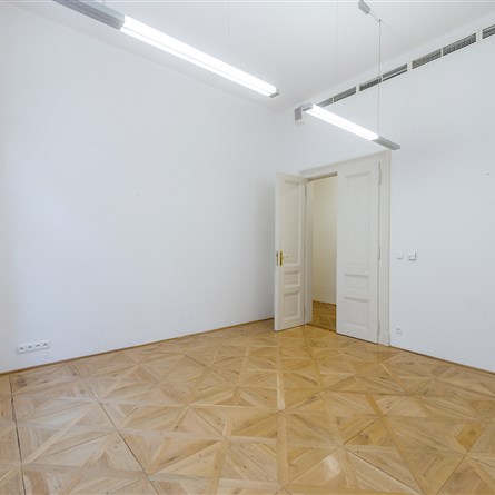 Myšák Gallery