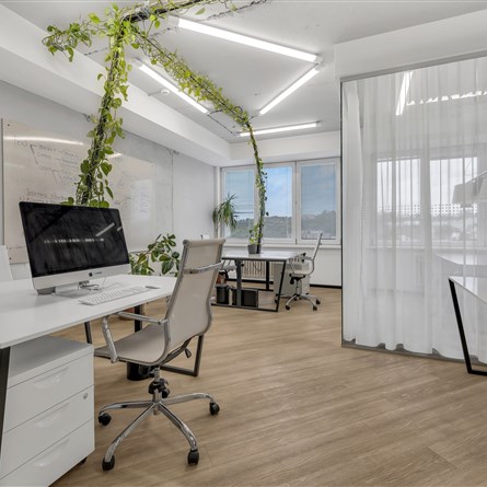Golden Office | podnájem