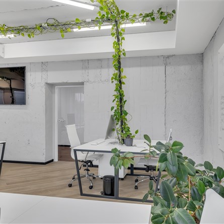 Golden Office | podnájem