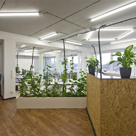 Golden Office | podnájem