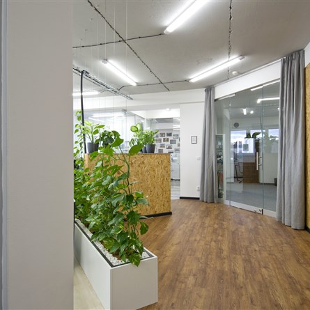 Golden Office | podnájem
