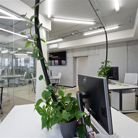 Golden Office | podnájem