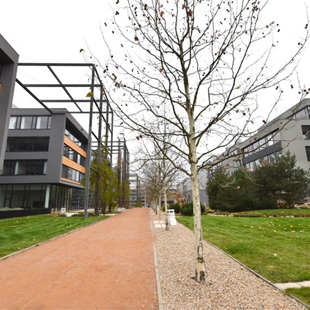 City West | C2 | Vodafone