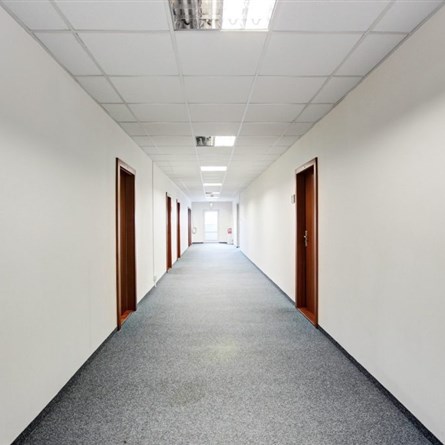 Golden Office