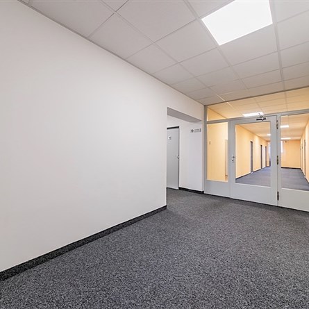 Golden Office