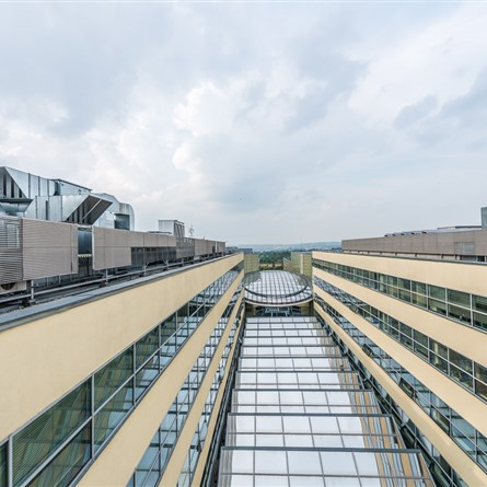 Atrium Flora | I