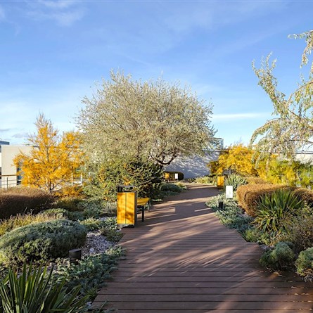 Oasis Florenc