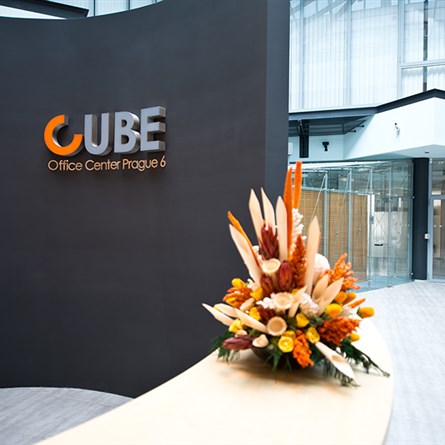 Cube Office Center