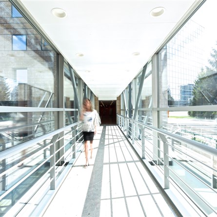 IBC | International Business Center