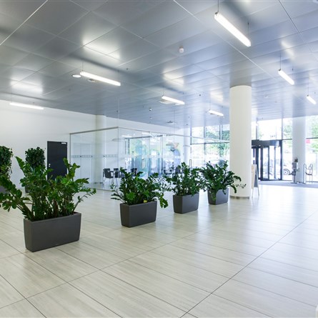City West | B1 | Patria West Offices