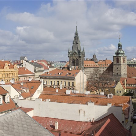 Ringhofferův palác