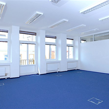Palác Purkyňova