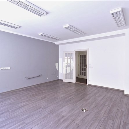 Palác Purkyňova