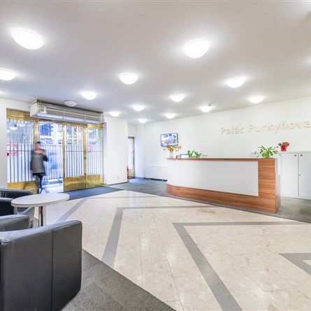 Palác Purkyňova