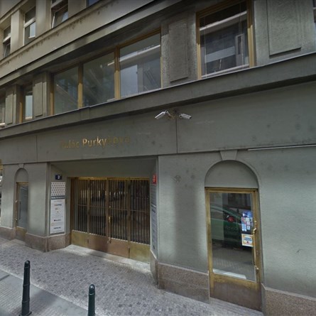 Palác Purkyňova