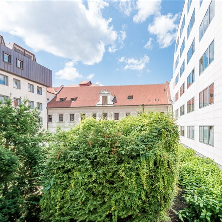 Nový Kolowratský palác | podnájem