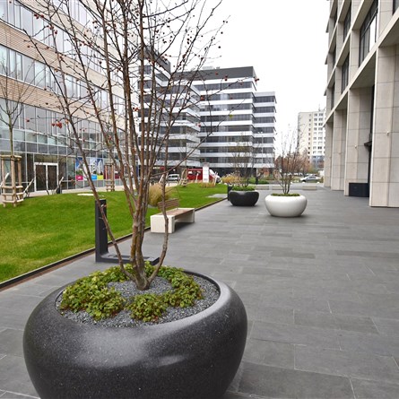 Aspira Business Center