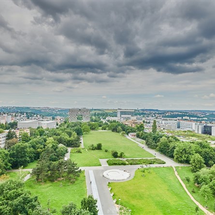 ParkView
