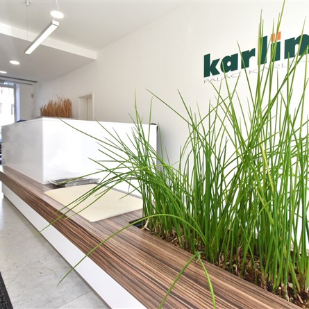 Palác Karlín | II  | NEAKTIVNÍ