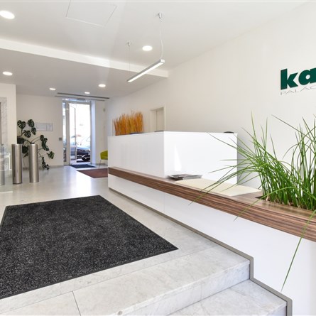 Palác Karlín | II  | NEAKTIVNÍ