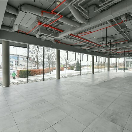 The Park | Building 6