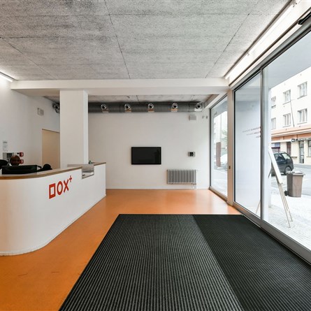 DOX+